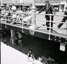 Image result for White 1985 UMM