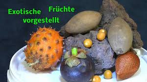 Check spelling or type a new query. Fruchte Aus Fernen Landern Exotische Fruchte Mal Ansehen Ein Packchen Fur Detlef Youtube