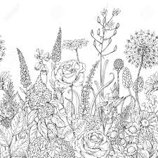 Ampio catalogo di mazzi di fiori online a prezzi economici e consegna a domicilio. Vettoriale Disegnato A Mano Modello Di Linea Senza Soluzione Di Continuita Con I Fiori Di Campo Doodle In Bianco E Nero Fiori Selvatici E Erba Per La Colorazione Bianco E Nero