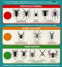 Animali Australiani Le Cose Da Sapere Sugli Animali Fantastici Dell Australia