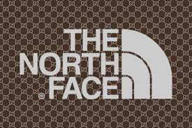 The north face x gucci collab also includes sleeping bags and tents and backpacks that ooze retro funk. Gucci X The North Face Collaboration Teaser Hypebeast