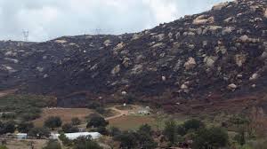 Maybe you would like to learn more about one of these? San Diego County Farmers Struggle To Get Fire Insurance Cbs8 Com