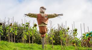 How to Build a Scarecrow - NEW Atlanta Parent
