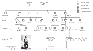 In the ensuing quest to produce heirs, prince edward, the fourth son of george iii, married victoire at the age of 51; The Family Tree Of Queen Victoria Reproduced With Permission Of John Download Scientific Diagram