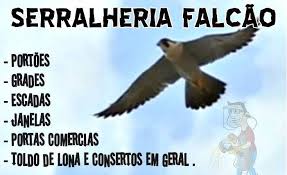 Os falcões são as menores aves de rapina medindo cerca de 15 a 60 cm de comprimento. Serralheria Falcao Home Facebook
