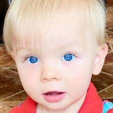 Is there a mobile nail trimming service for pets in the local area?