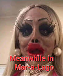 Liz Cheney/Adam Kinzinger Against Trump