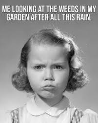 I thought this was both funny and incredibly accurate  https://www.instagram.com/reel/DDKTYIwsWav/?igsh=anRhYnFjNXlwbm5r