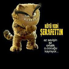 Mustafa Zeki Od Adli Kullanicinin Kotu Kedi Serafettin Panosundaki Pin Pinterest