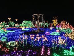 Garden D Lights At Bellevue Botanical Garden One Word Beautiful Created With 1 2 Million Le Holiday Lights Display Christmas Light Displays Christmas Lights