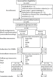 Flow Chart Of Participants And Study Assignment Assessed 3