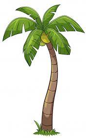 Coconut Tree Cartoon Style Tree Drawing Coconut Tree Drawing Cartoon Palm Tree