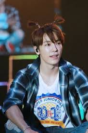 Search, discover and share your favorite donghae cute gifs. 17 Donghae Oppaaaaaaa Ideas Super Junior Donghae Lee Donghae Super Junior