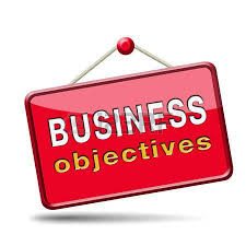 Step Guide To Successful Business Development Tyler Wilkinson San Diego Success Business Business Development Plan Business Development