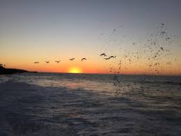 Jelaskan karya ilmiah bentuk semiformal. Jelaskan Perbedaan Antara Bentuk Populer Semi Formal Dan Formal Brainly Co Id