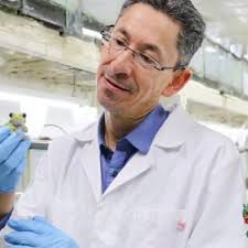 Víctor Romero (@vpr0mer0)