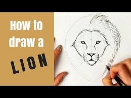 Beginners How To Draw A Lion Youtube Lion Drawing Simple Lion Drawing Drawing For Beginners