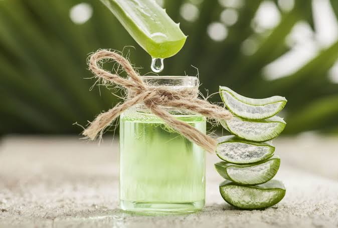 Image result for aloe vera"