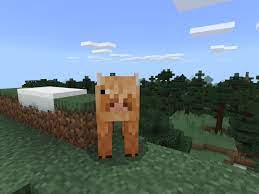 Update, january 5, 2021 (03:34 pm et): Minecraft Earth Features Minecraft Pe Addon Mod 1 16