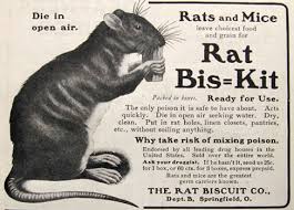 Image result for rat poisoning
