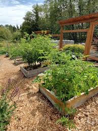 Decide which vegetables you want to grow in your raised bed or container. Online Class Growing Vegetables In Raised Beds Snohomish County Washington State University