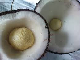 Sakit buah pinggang bukan sahaja boleh menyebabkan kematian malah menyebabkan pesakitnya menderita kesakitan semasa hidup. Ceriakan Hidup Anda Dengan Cara Tradisional Tip Merawat Sakit Buah Pinggang