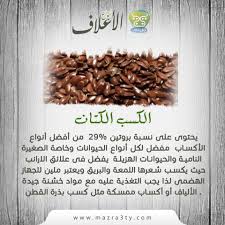 يحتوى كسب الكتان على نسبة بروتين 29 من أفضل أنواع الأكساب مفضل لكل أنواع الحيوانات وخاصة الصغيرة النامية والحيوانات الهزيلة يفضل فى علائق ال Health Tips Health