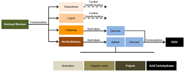 Carbohydrate is an umbrella term that includes all starches and sugars. Biofuels And Co Products Out Of Hemicelluloses Intechopen