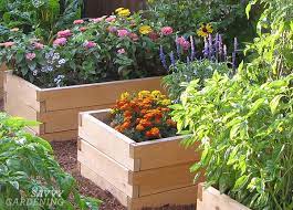 Our essential guide to planting a flower bed for beginners will help successful beds can be established in many different positions in the garden and although a sunny aspect suits the widest range of plants, you. Planting A Raised Bed Tips On Spacing Sowing And Growing