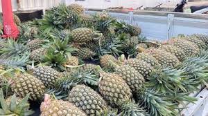 Banjir Buah Nanas di Pasar Lakessi Parepare, Bisa Dikupas dan Langsung Makan