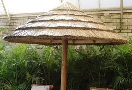 Africa cape reed thatch has been used in southern parts africa by ethnical groups such as the traditional zulu's over centuries ago. African Cape Reed Tiles Suppliers Mr Thatch Perth