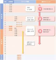 鍼灸で着床率を上げる（着床鍼灸スケジュール）