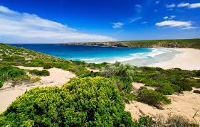 Battlefield one (from battlefield 1). Kangaroo Island Travel Information Things To Do Facts Best Time To Visit Location Kangaroo Island Australia Tourist Attractions Best Places To Vacation