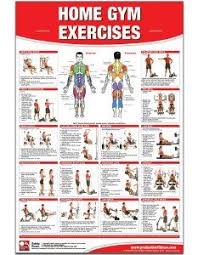 66 Thorough Golds Gym Xrs 50 Exercise Chart