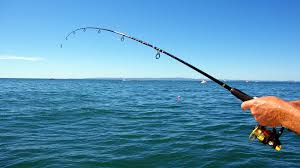 Fishing with grandpa f1uploaded by: 50 Sport Fishing Wallpapers On Wallpapersafari