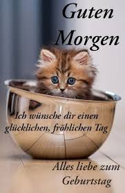 Pin Von Daniela Auf Geb Urlaub Gute Besserung In 2020 Geburtstagswunsche Katze Geburtstag Wunsche Geburtstagsgratulation
