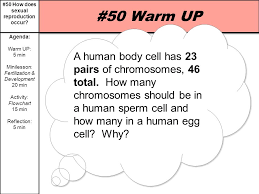 50 how does sexual reproduction occur agenda warm up 5