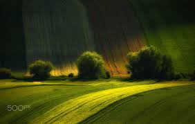 Search by tag or locations, view users photos and videos. Richi Sanvi On Twitter Light On The Hill Photo By Andy58 Andras Schafer 500px Nature Green Artlovers Https T Co Vq2mqjicfi