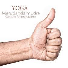 Pin On Exercises