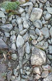 Image result for illusion pictures