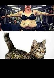 Since then, further studies have in some instances. And I Am A Albatross 9gag