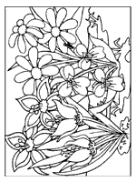 Rozen, tulpen, zonnebloemen en nog veel meer. 30 Kleurplaten Van Bloemen