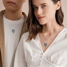 Amaxer Collar Con Colgante De Dragón De Zorro De Acero Inoxidable, Diseño  De Nudo Celta Con Forma De Animal Geométrico, Unisex, Cadena De Caja De 23  Pulgadas