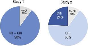 For blood cancers like leukemia, remission means a significant reduction or no evidence of cancer cells. Interpretation Of Clinical Endpoints In Trials Of Acute Myeloid Leukemia Sciencedirect