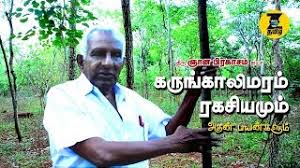 à®à®° à® à® à®² à®®à®°à®® à®°à®à® à®¯ à®®à®° à®¤ à®¤ à®µà®® à®® à®à®¤à®© à®ªà®¯à®© à®à®³ à®® Uses Of Karungali Tree Youtube English to bengali & bengali to english translator. à®à®° à® à® à®² à®®à®°à®® à®°à®à® à®¯ à®®à®° à®¤ à®¤ à®µà®® à®® à®à®¤à®© à®ªà®¯à®© à®à®³ à®® uses of karungali tree