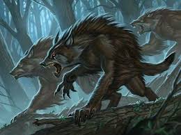 Wolf Leon Fly Panosundaki Pin