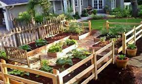 Rumput di sela selanya malah terlihat lebih subur. Backyard Garden Sebuah Permulaan Ke Arah Kurangkan Kos Barang Dapur