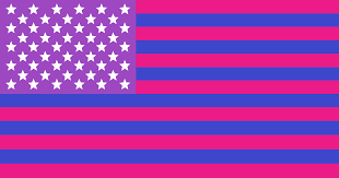 Download Bi American Flag Icons Png Free Png And Icons Downloads