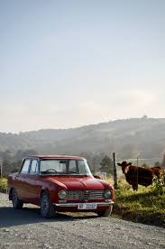 Image result for Cobalt Blue 1967 Alfa-Romeo