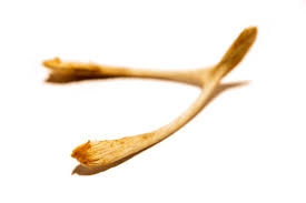 Their partner is then instructed to make a wish. Wishbone Meaning